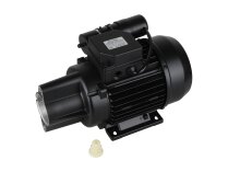Motor Riello RL46/550, 550W, art: 3013829.