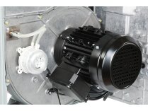 Quemador de gas Elco VG 5.950 DP R, art: 3834739.