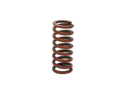 Resorte Siemens AGA21, art: S55851-Z301-A100