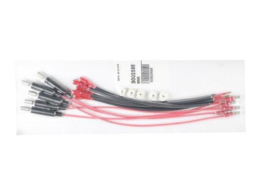 Cable de electrodo de ionización Riello 3002586